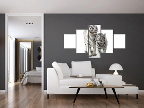 Obraz - Biały Tygrys (125x70 cm)