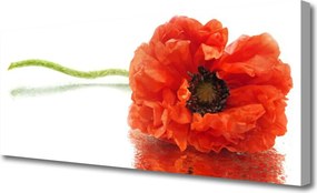 Obraz canvas Naturalny Bukiet Botaniczny