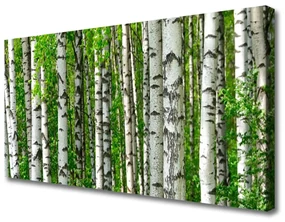 Obraz Canvas Las Roślina Natura Drzewa