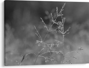Obraz - Wiejska łąka (70x50 cm)
