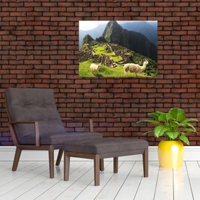 Obraz na szkle - Machu Picchu (70x50 cm)