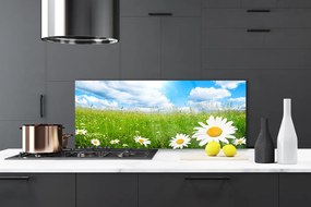 Panel Kuchenny Białe Stokrotki W Trawie