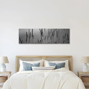 Obraz - źdźbła trawy (170x50 cm)
