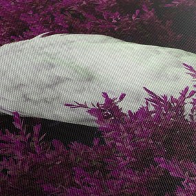 Obraz - Biały paw (170x50 cm)