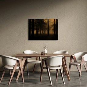 Obraz na szkle - Ciemny las (70x50 cm)