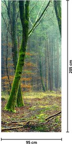 Fototapeta na drzwi - Las (95x205cm)
