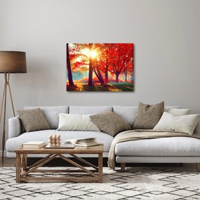 Obraz- Jesienny krajobraz (70x50 cm)