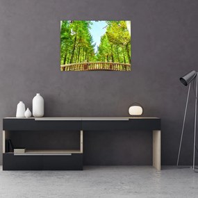 Obraz - Widok na las (70x50 cm)