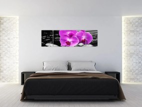 Obraz - Fioletowe orchidee (170x50 cm)