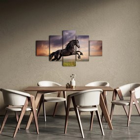 Obraz - Konie (125x70 cm)