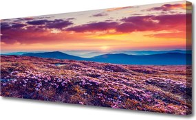Obraz na płótnie Kwiatowy Dywan u Stóp Gór