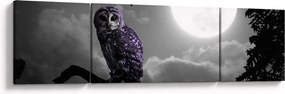 Obraz - Nocna sowa, fioletowa sowa (170x50 cm)