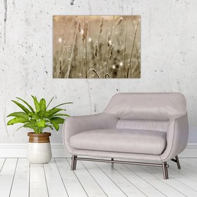 Obraz na szkle - Harmonious Meadow (70x50 cm)