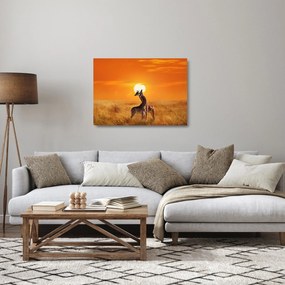 Obraz na szkle - Żyrafy w Parku Narodowym Serengeti (70x50 cm)