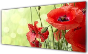 Panel Szklany Pole Czerwonych Maków