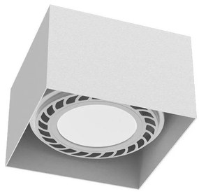 Brosline 1268 - Oprawa punktowa CAGE 1xGU10/18W/230V biała