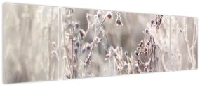 Obraz - Roślina (170x50 cm)