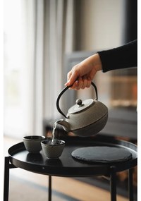 Szary żeliwny dzbanek do herbaty 1,1 l Jang – Bredemeijer