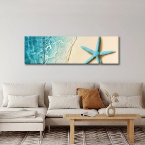 Obraz - Rozgwiazda na plaży (170x50 cm)