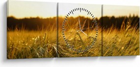 Obraz zroszonej trawy (z zegarem) (90x30 cm)