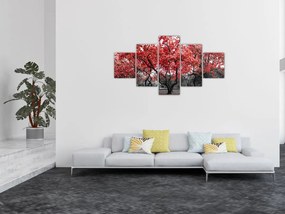 Obraz - Czerwone drzewa, Central Park, New York (125x70 cm)