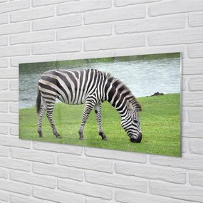 Szklany Panel Zebra
