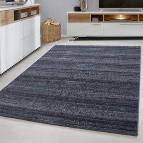 Dywan nowoczesny Plus szary 280 cm x 370 cm