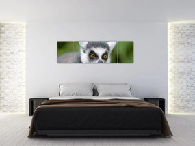 Obraz lemura (170x50 cm)