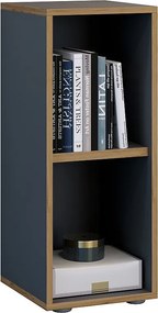 Shelf Books Folder Plik Shelf Salia 2f