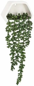 Sztuczne kwiaty na ścianę Starzec zwisający, 14 cm