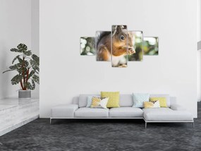 Obraz wiewiórki (125x70 cm)