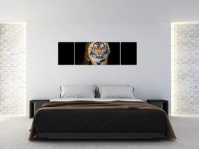 Obraz - Tygrys (170x50 cm)