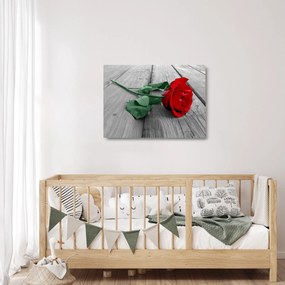 Obraz na szkle - Czerwona róża z zieloną łodygą (70x50 cm)