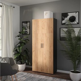 Szafka uniwersalna antracyt/złoty dąb 80x37x183.8 ingo