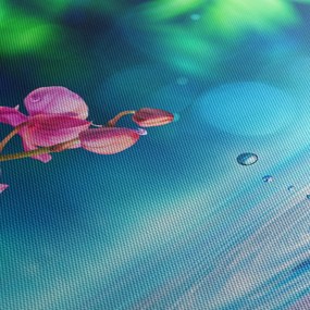 Obraz - Orchidea (70x50 cm)