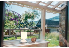 Solarna lampa zewnętrzna LED (wysokość 21 cm) Silva – Trio