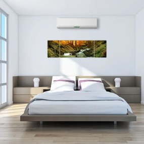 Obraz - Las (170x50 cm)