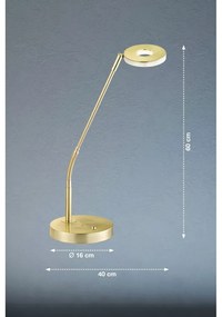 Lampa stołowa LED w kolorze złota ze ściemniaczem (wysokość 60 cm) Dent – Fischer &amp; Honsel