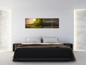 Obraz - Cykl życia (170x50 cm)