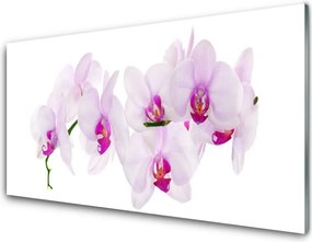 Szkło do Kuchni na Ścianę Pastelowy Ogród Botaniczny