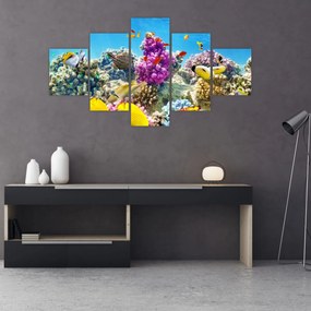 Obraz - Morski świat (125x70 cm)
