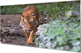 Szkło Ozdobne do Kuchni Tygrys w Cieniu Drzew