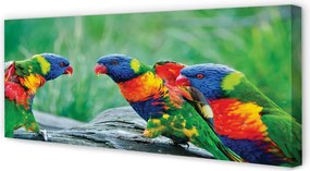 Obraz na płótnie Kolorowe Papugi na Drzewie