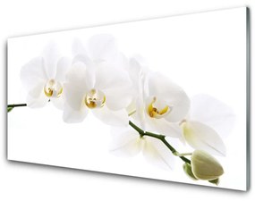 Obraz Akrylowy Kwiaty Orchidea