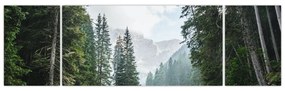 Obraz leśnego jeziora (170x50 cm)