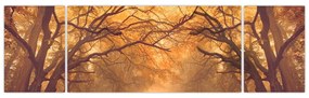 Obraz drogi w jesiennym krajobrazie (170x50 cm)