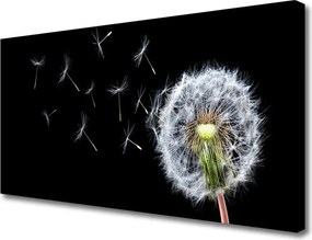 Obraz canvas Polny Urok Dmuchawców