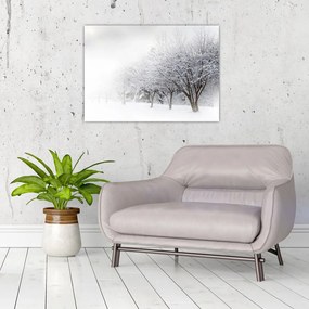 Obraz na szkle - Zimowa aleja (70x50 cm)