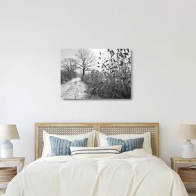 Obraz na szkle - Pola w zimie (70x50 cm)