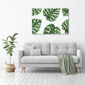 Foto obraz szkło hartowane Monstera